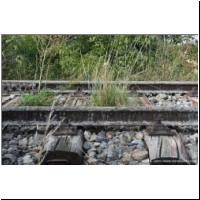 2015-09-13 Stammersdorfer Lokalbahn 05.jpg